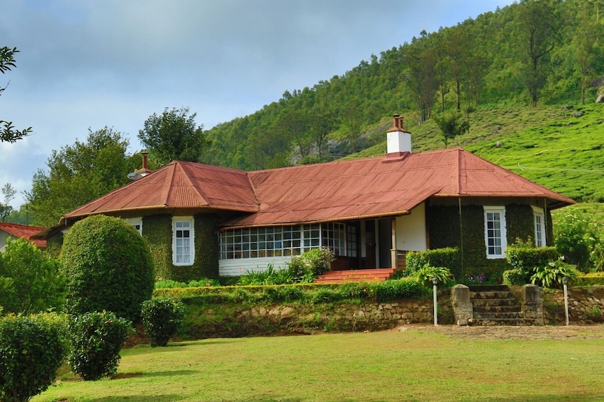 Tea Bungalows