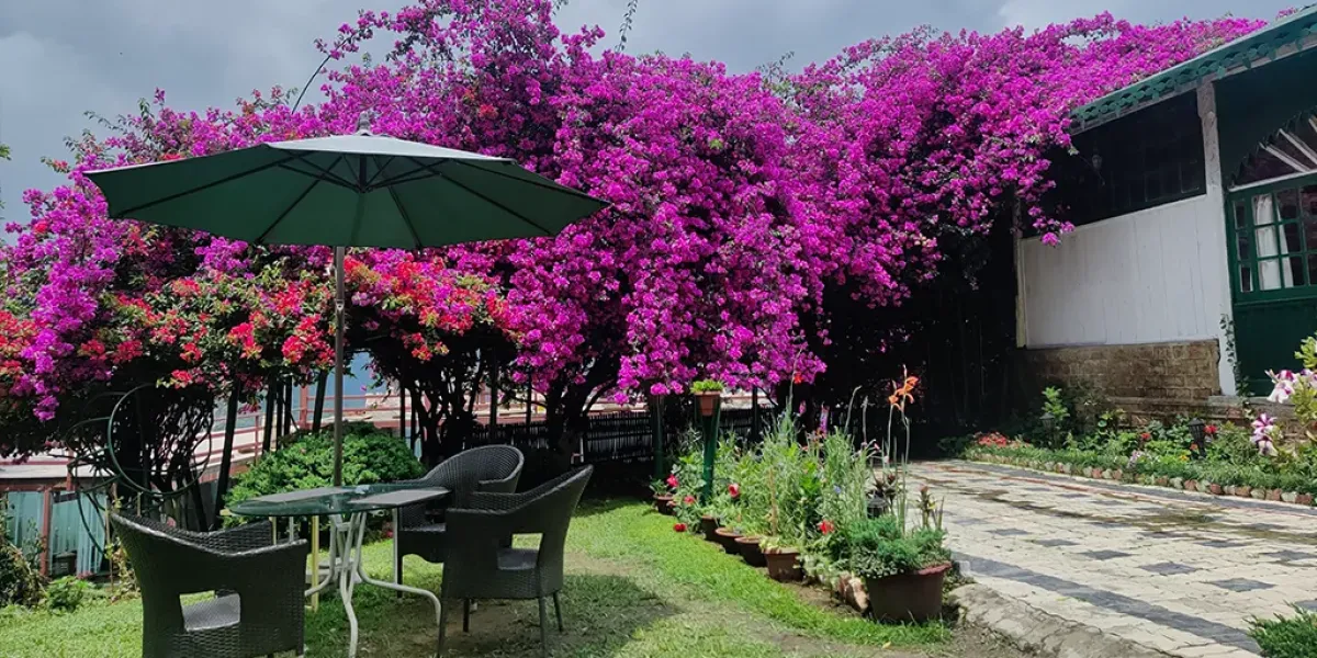 Singtom Tea Estate & Resort